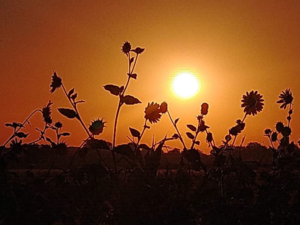 Hero image
